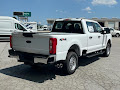 2024 Ford F-250 Super Duty XL